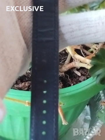 Нов Corum. Кварцов часовник с календар Договаряне!, снимка 6 - Мъжки - 51826534