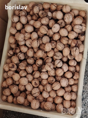 Продавам орехи 2025, снимка 3 - Други - 52419650