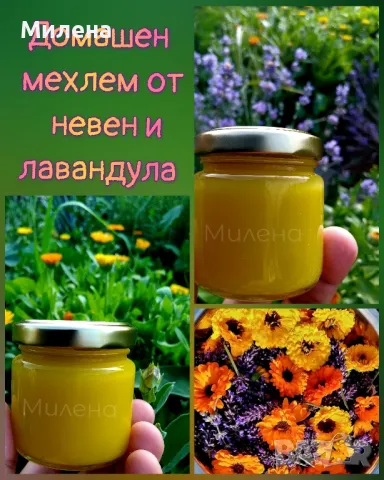 Домашен мехлем от невен и лавандула , снимка 1
