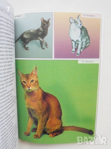 Книга Енциклопедия за котката - Веселин Денков 1997 г., снимка 2 - Енциклопедии, справочници - 38135921