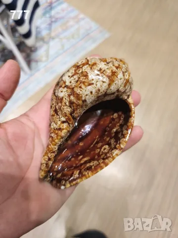 купички , снимка 3 - Чинии - 47273576