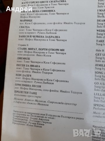 Грамофонна плоча Цигански Песни, снимка 5 - Грамофонни плочи - 32877717