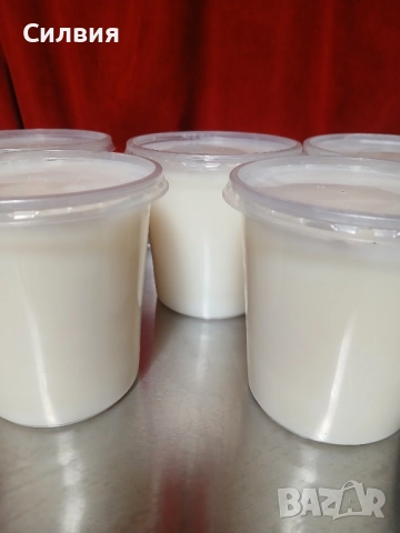 Свинска мас без сол 500 мл., снимка 1