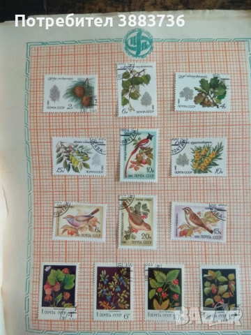 Колекция съветски пощенски марки 80 бр, снимка 8 - Филателия - 52721558