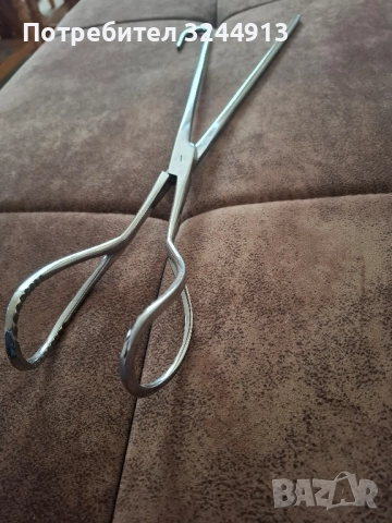 Немска щипка за отелване, снимка 4 - Други животни - 51614899