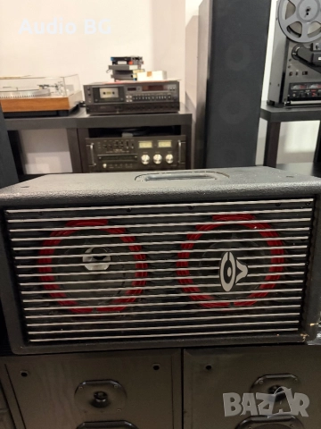 Cerwin Vega CVA-28 Professional, снимка 3 - Тонколони - 52330112