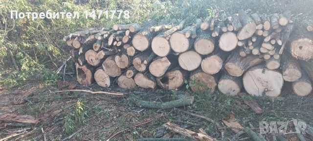 Дърва за огрев , снимка 15 - Дърва за огрев - 45429102