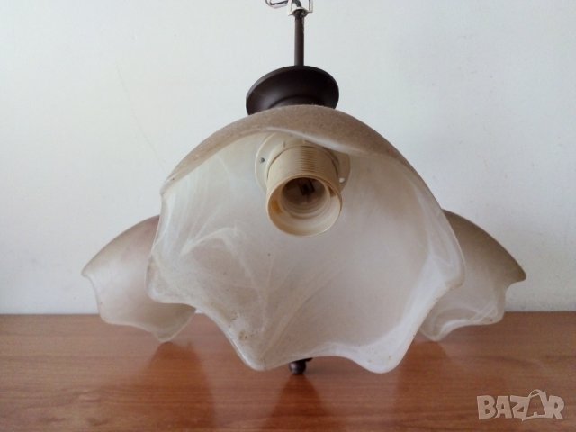 Полилеи, снимка 4 - Полилеи - 43998121