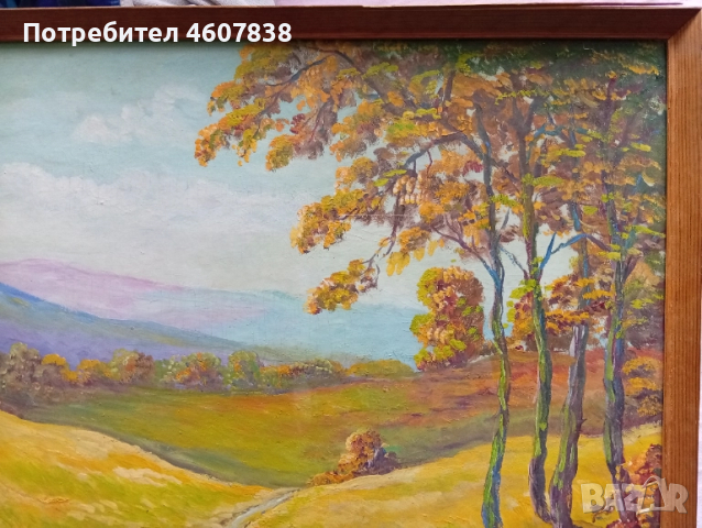 Картина 71-52 см, снимка 4 - Картини - 51960976