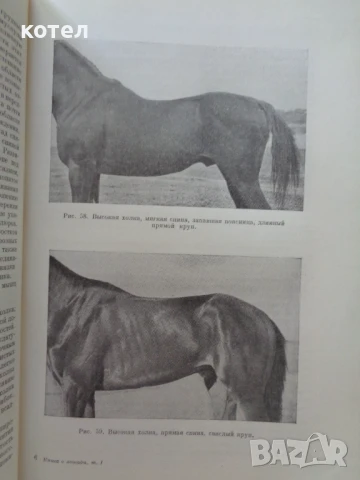 Продавам ; Книга о лошади . Том 1, снимка 4 - Енциклопедии, справочници - 50530399
