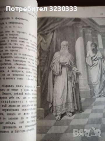"Св. история"И Р.Блъсков 1895г.+Ботаника, снимка 10 - Антикварни и старинни предмети - 40739785