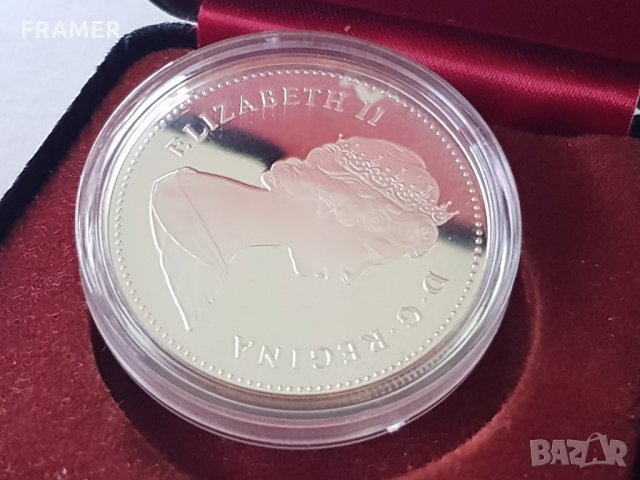 1 сребърен долар 1981 година Канада Елизабет II сребро в ТОП качество, снимка 6 - Нумизматика и бонистика - 35285151