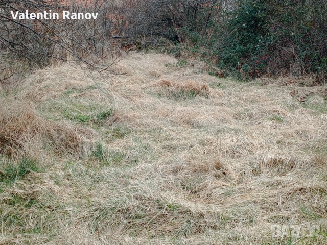 Имот къща в село Гълъбник с площ 980кв
