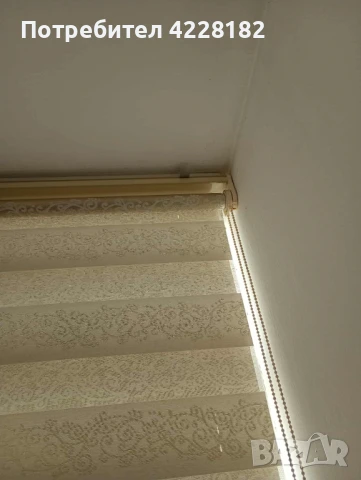 Бели щорита, снимка 3 - Щори - 51290215