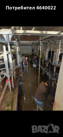 Продава се действаща кравеферма – напълно оборудван и разработен бизнес, снимка 9 - Производствени сгради - 53513854