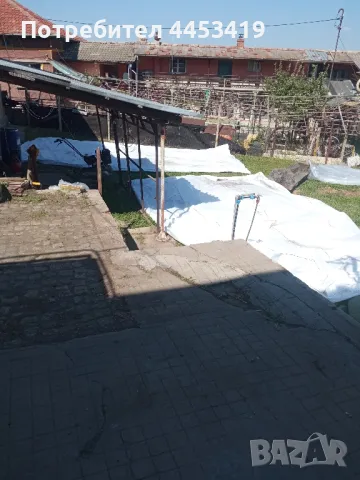 Червен калифорнийски червей , снимка 3 - Тор и почвени смеси - 50058064