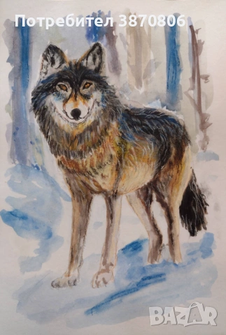 Вълк - рисунка акварел/пастели 