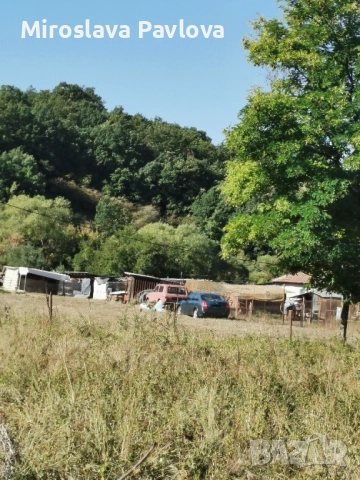 Продавам място в с. Радибош 3 Дка. , снимка 5 - Парцели - 51738237