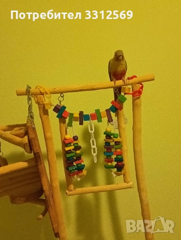 Пирура ръчно хранена 