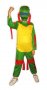 Детски костюм Костенурките Нинджа, снимка 1 - Други - 37455204