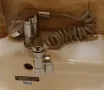удобен душ за мивка, снимка 2