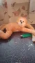 Плюшени играчки , снимка 6