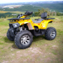 ATV 200cc MaxMotors Shark, снимка 2