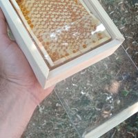Пчелен прашец билков - реколта 2024, снимка 15 - Пчелни продукти - 14722628