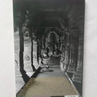 Книга Еликсирът на безсмъртието - Сухотра Свами 2018 г., снимка 2 - Езотерика - 28876980