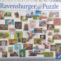 Игри и Пъзели Ravensburger, Trefl, Schmidt, снимка 7 - Игри и пъзели - 43790523