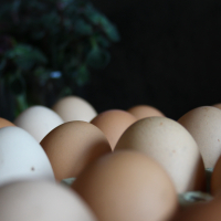 Домашни Яйца 15лв кора, снимка 8 - други­ - 36397255