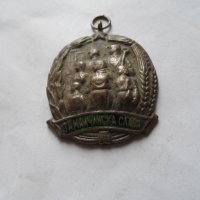 Медал - За Майчинска Слава, снимка 6 - Други ценни предмети - 33050898
