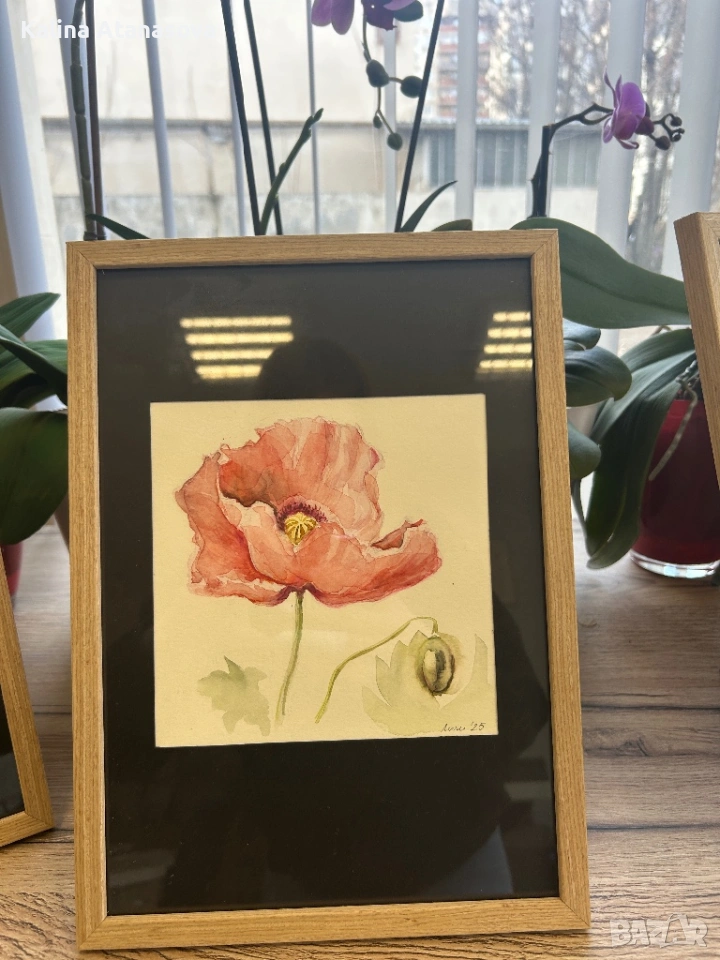 Ръчно рисувана акварелна картина – Розов мак, снимка 1