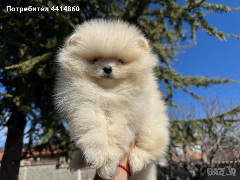 2 момичета и 3 момчета, снимка 1