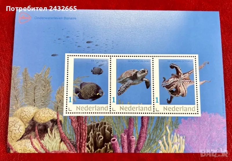 2335. Нидерландия 2024 = “ Фауна. Морски живот от остров Бонер. “, **, MNH, снимка 1