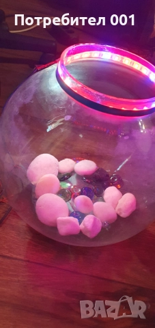 Аквариум 10 л., снимка 3 - Аквариуми - 51735889