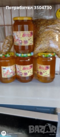 Пчелен мед и пашец, снимка 2 - Пчелни продукти - 38144376