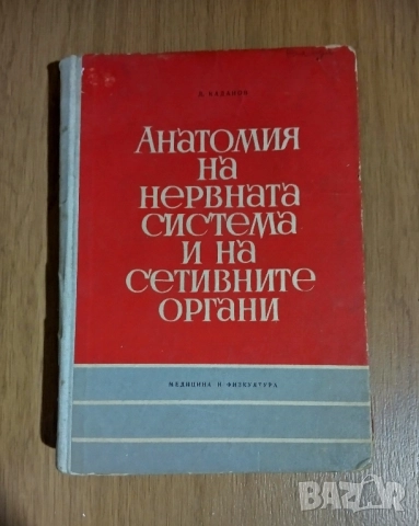 Анатомия на нервната система и на сетивните органи