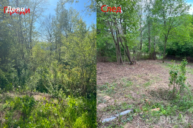 Почистване на дворове в община Своге, Годеч , Костинброд и Нови Искър, снимка 10 - Други почистващи услуги - 41537338