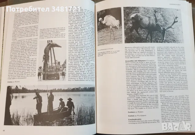 Голяма ловна енциклопедия / The International Encyclopedia of Shooting, снимка 5 - Енциклопедии, справочници - 49760438
