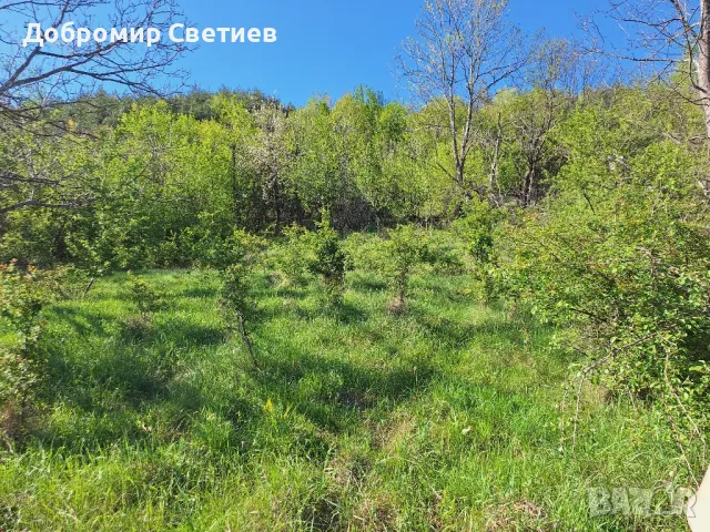 парцел в Еленският балкан , снимка 12 - Парцели - 50342176
