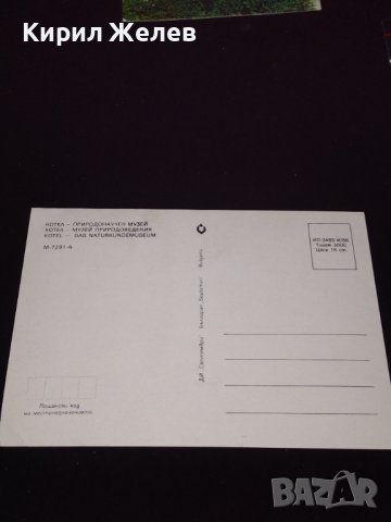 Две стари картички Природонаучен музей Котел, Национален парк музей Шипка 41656, снимка 5 - Колекции - 43099983