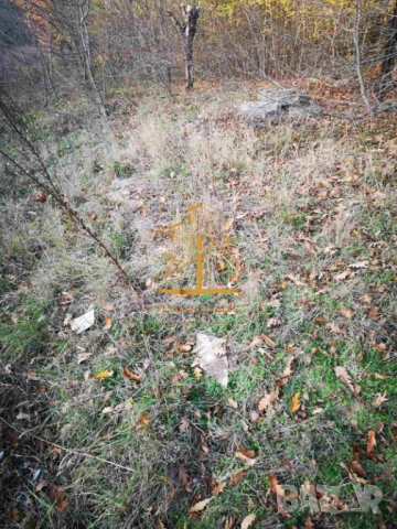 😎Парцел - м-т Боровец Юг, Област Варна (Обява N:264253)🤩, снимка 3 - Парцели - 52407436