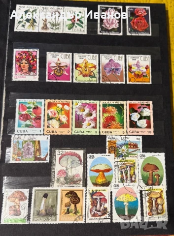 Стари пощенски марки, снимка 3 - Филателия - 51152353