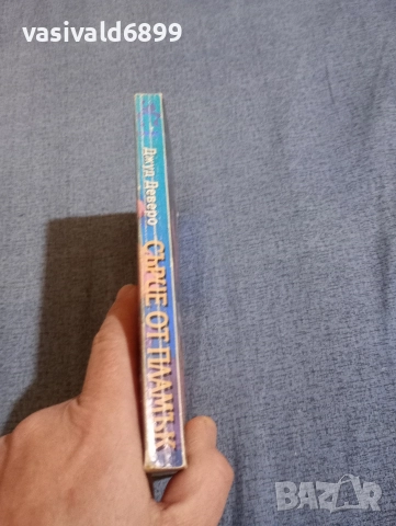 Джуд Деверо - Сърце от пламък , снимка 2 - Художествена литература - 52970482