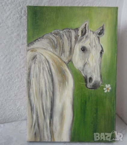 Кон с маргаритка, Art by MiMa, картина, oil on canvas painting, снимка 3 - Картини - 27263708