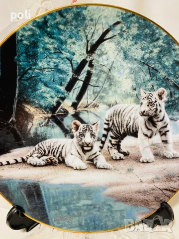 порцеланова чиния за стена , снимка 2 - Декорация за дома - 50807887