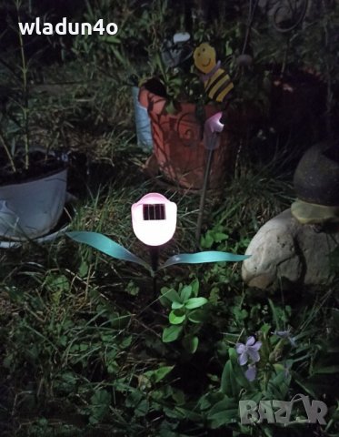 Соларна декорация-пеперуди/колибрита/Лалета-8лв/9,00лв/10лв, снимка 17 - Градински мебели, декорация  - 28782055