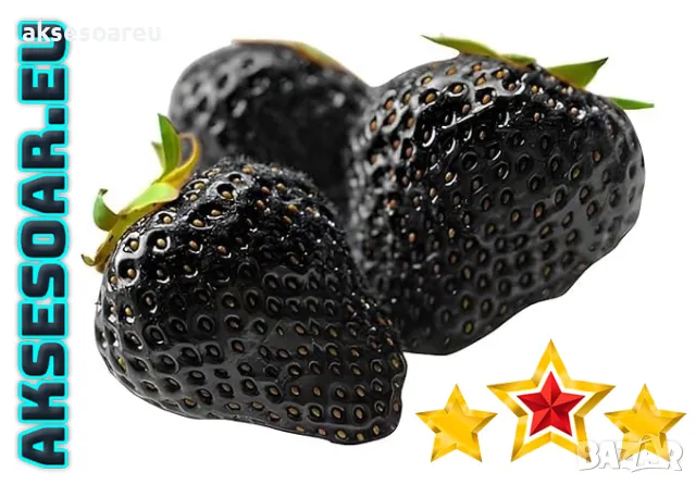 80 семена от плод черна ягода органични плодови ягодови семки от вкусни черни ягоди отлични плодове, снимка 14 - Сортови семена и луковици - 50419261