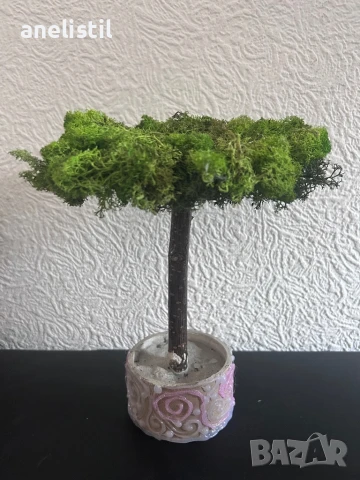 Уникални ръчно изработени дръвчета/бонсаи от скандинавски мъх, снимка 5 - Други - 50942869